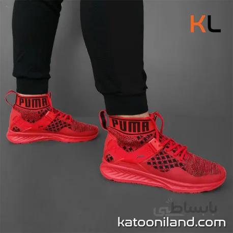 Puma Ignite Evoknit