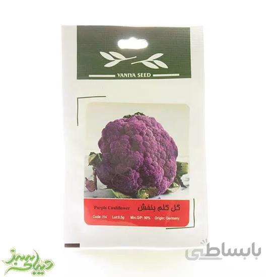 بذر گل کلم بنفش
