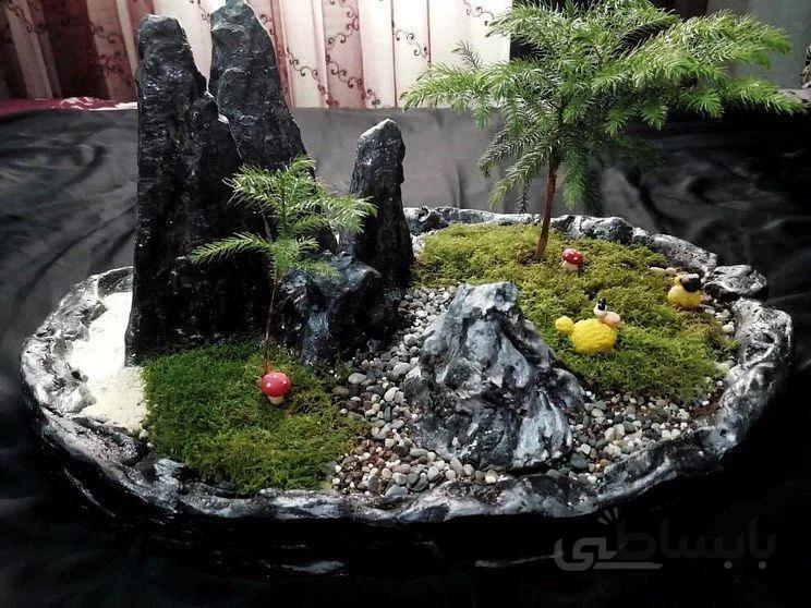 سازه سینی سنگی با سخره همراه بونسای آروکاریا