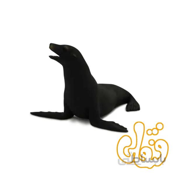 شیر دریایی کالیفرنیایی Californian Sea Lion 387115