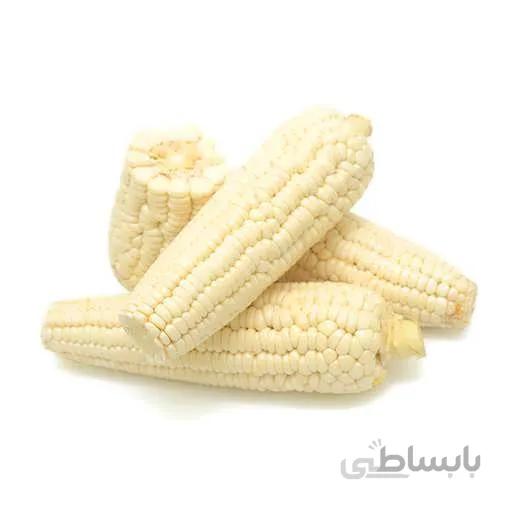 بذر ذرت سفید