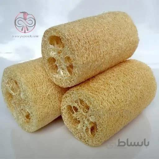 بذر گیاه لوفا (لیف طبیعی)
