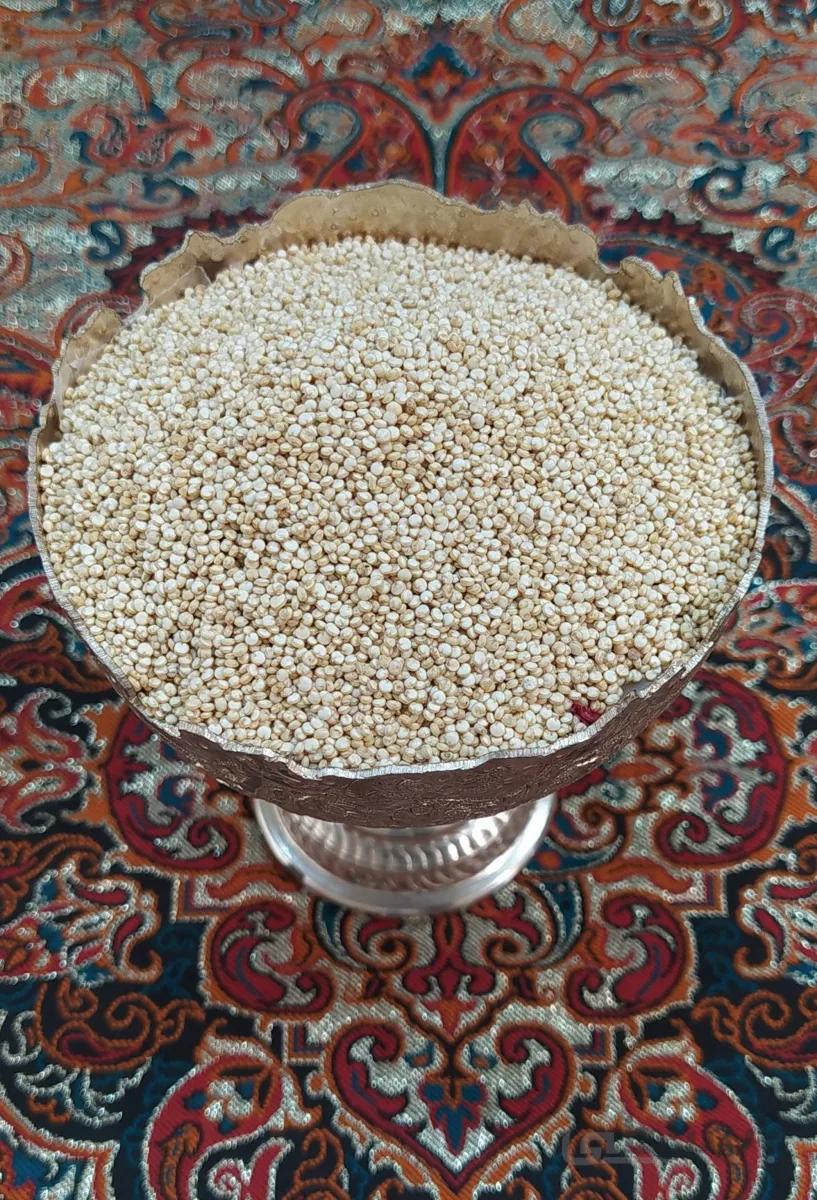 کینوا