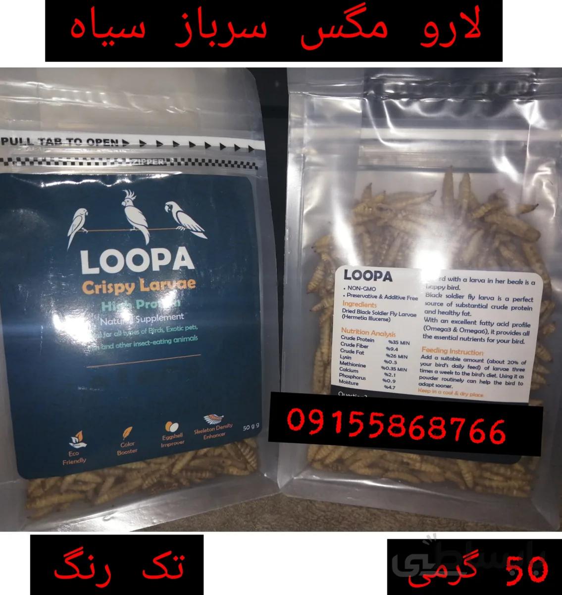 لارو مگس سرباز سیاه تک رنگ 50 گرمی ا Loopa 50g