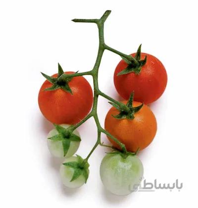 بذر گوجه فرنگی گیلاسی قرمز درختی
