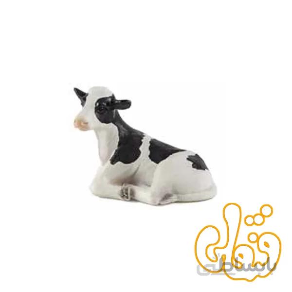 گوساله شیر ده نشسته holstein calf lying down 387082