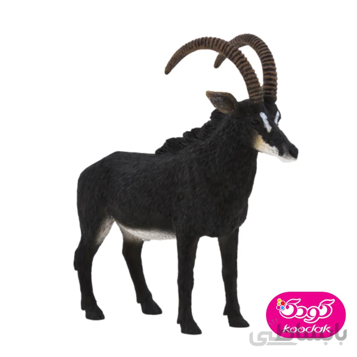 بز کوهی 387145 – حیوانات موجو