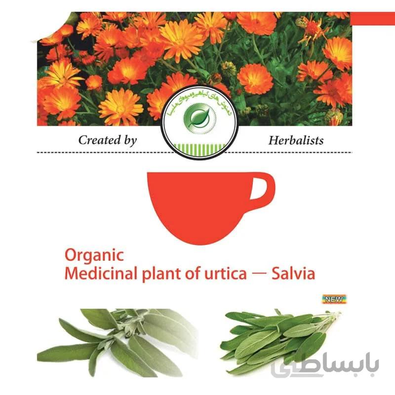 دمنوش گیاهی ارتیکا – سالویا(درمان کم خونی و آرتروز) ا Organic Medicainal Plant of Urtica - Salvia