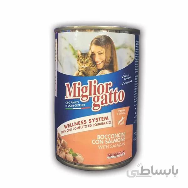 کنسرو گربه میگلیور با طعم سالمون - miglior