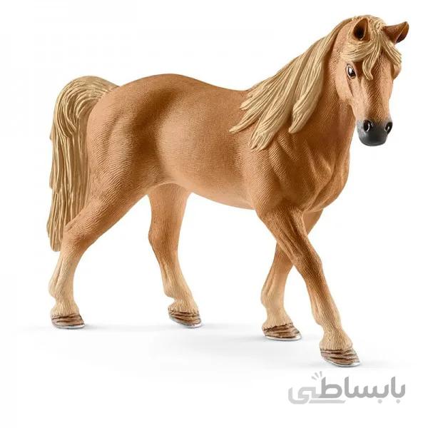 اسب تنسی واکر اشلایش 13833