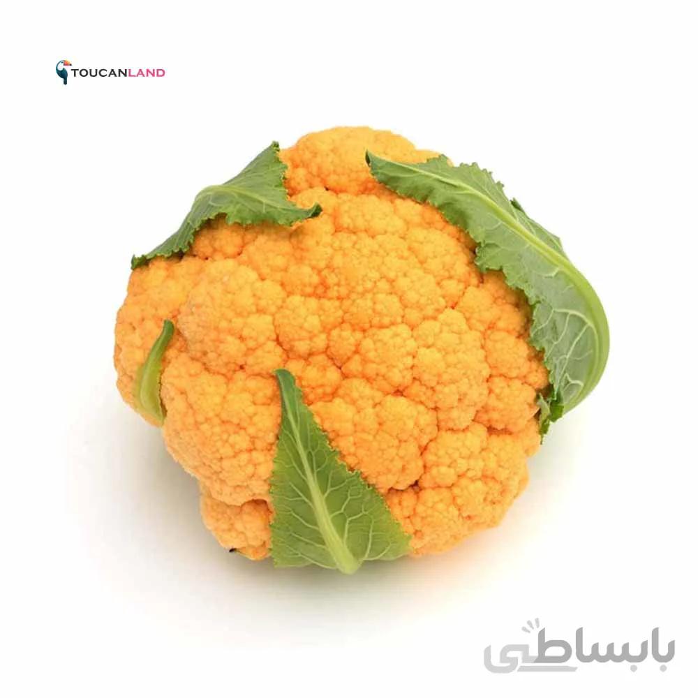 بذر گل کلم زعفرانی