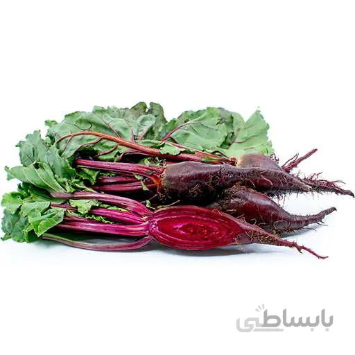 بذر لبو سیلیندرا