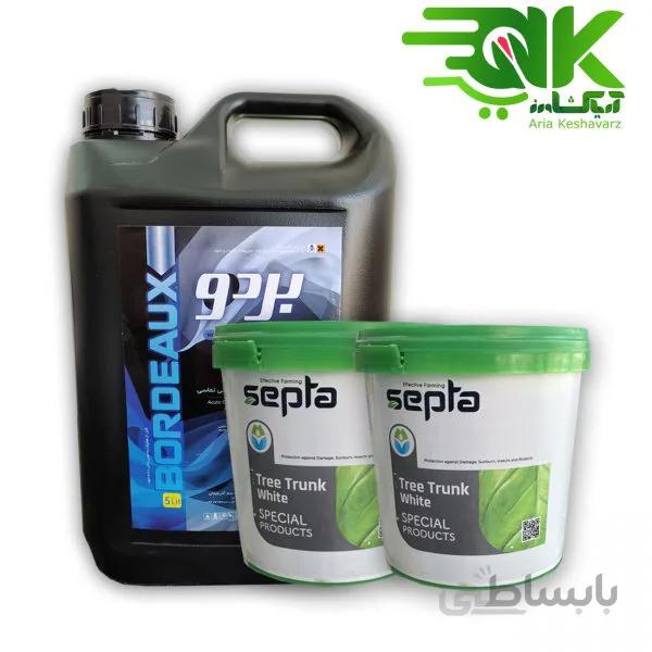 پکیج بردو + رنگ محافظ تنه