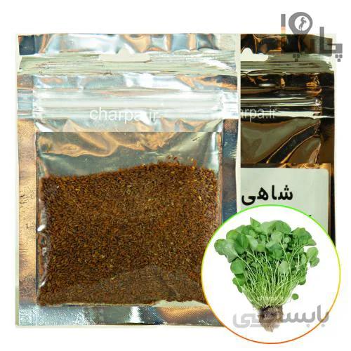 بذر شاهی کشاورزی فراز 35 گرمی