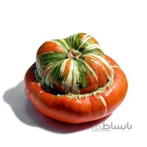 بذر کدو رقم Turban squash