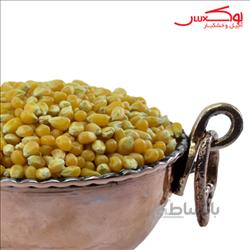ذرت