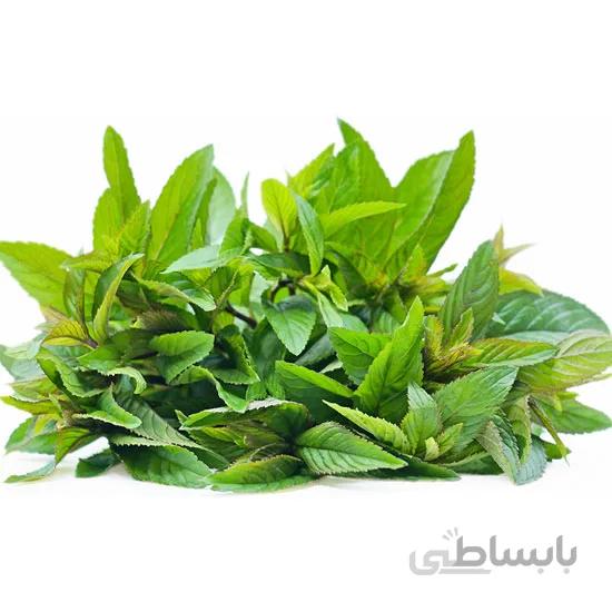 بذر نعناع فلفلی