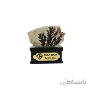 سنگ شجر فسیلی (دندریتی ) کد 2353 ا قیمت به شرط خرید تیمی