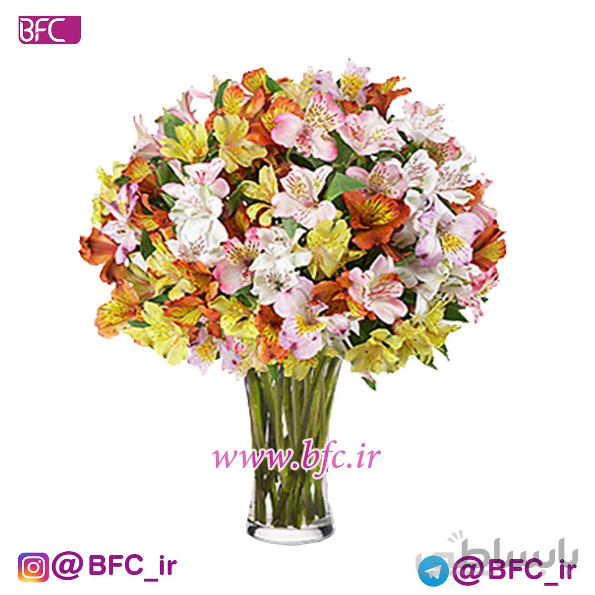 گلدان آلسترومریا
