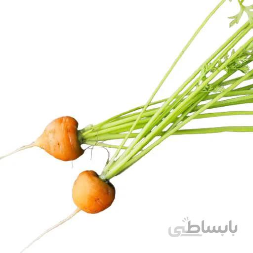بذر هویج اطلس