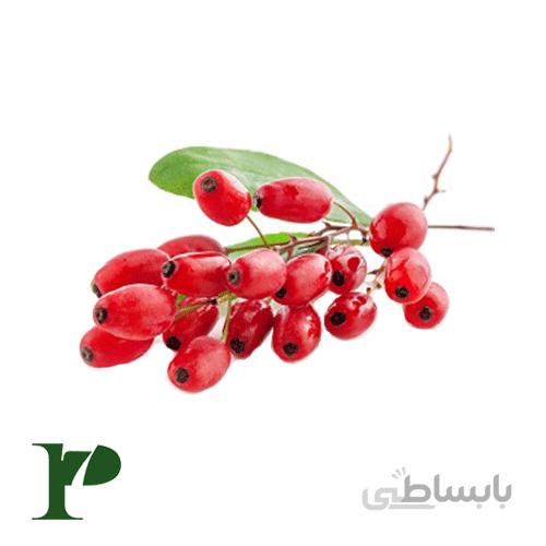 زرشک کوهی بسته‌ی 100 گرمی