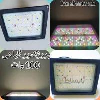 پروژکتورگیاهی 100 وات