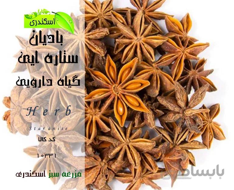 بادیان ستاره ایی