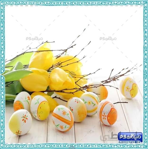 پس زمینه طرح تخم مرغ رنگی