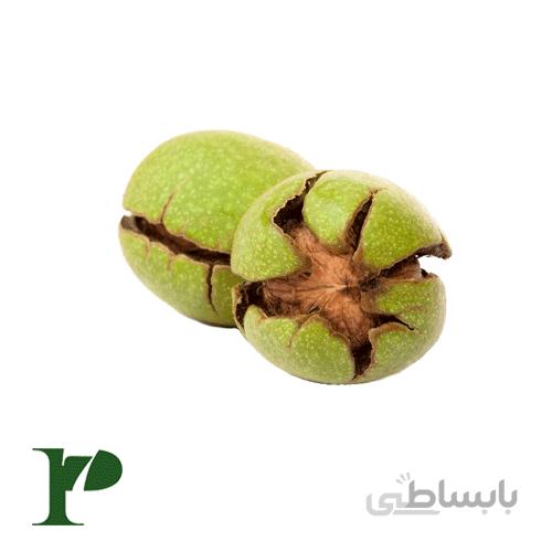 پودر پوست گردو بستهی 100 گرمی