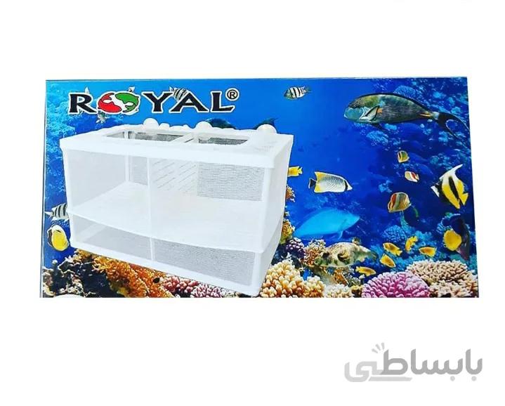 پرورشگاه رویال بزرگ