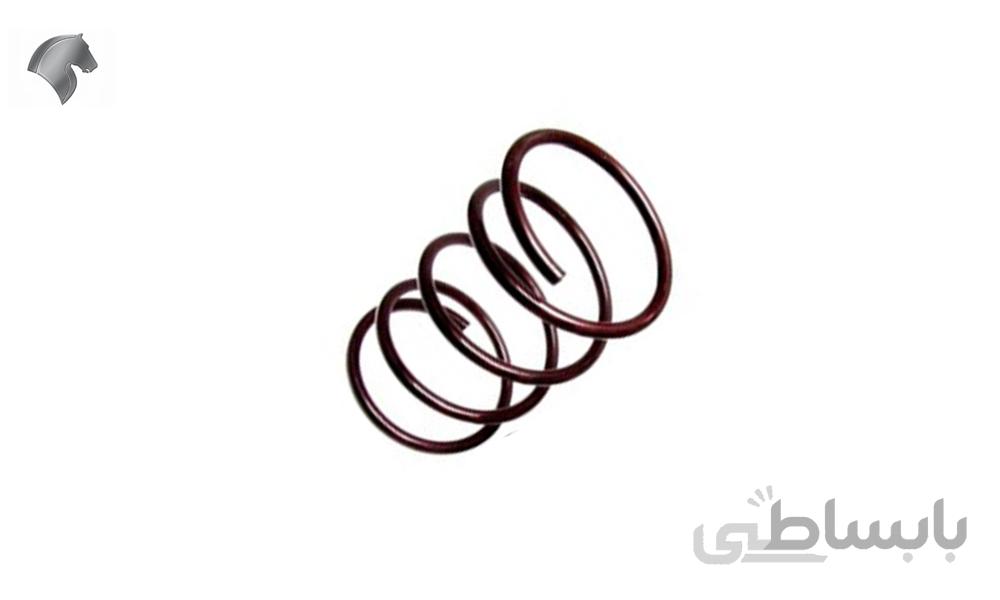 فنر لول دنا