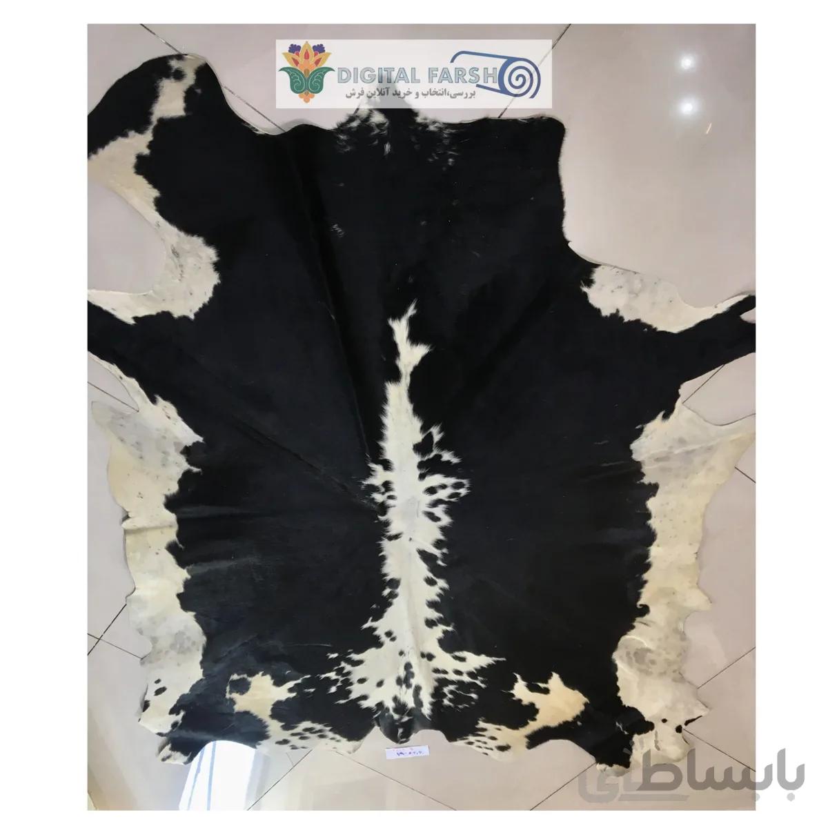 پوست طبیعی گاو تزنیِِینی 34.5 پا ا cow skin