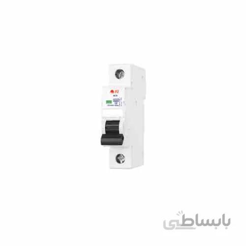کلید خودکار مینیاتوری یک پل B10A پارس شعاع توس