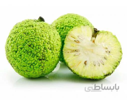 بذر درخت توت آمریکایی بسته 3 عددی