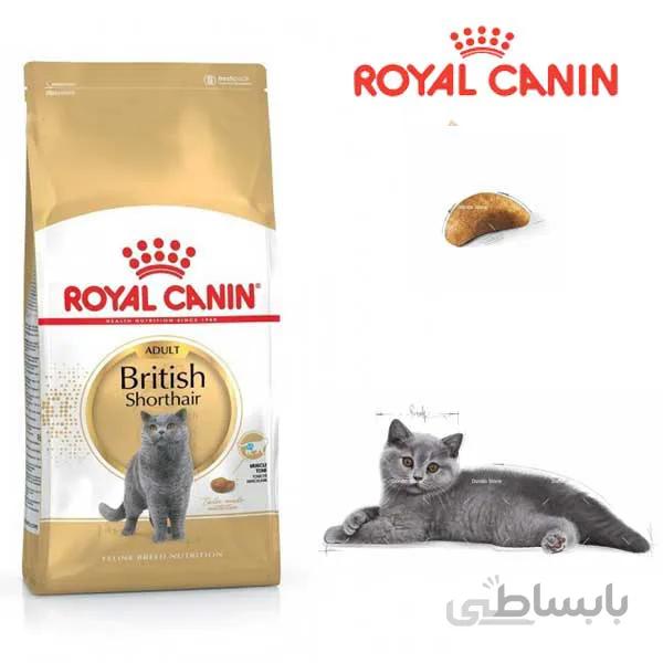 غذای خشک گربه رویال کنین مدل British Shorthair وزن 4 کیلوگرم ا Royal Canin British Shorthair