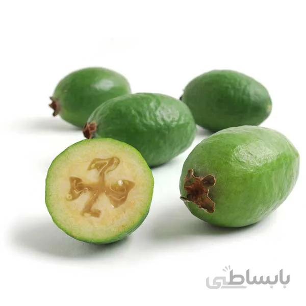 بذر درخت فیجوا