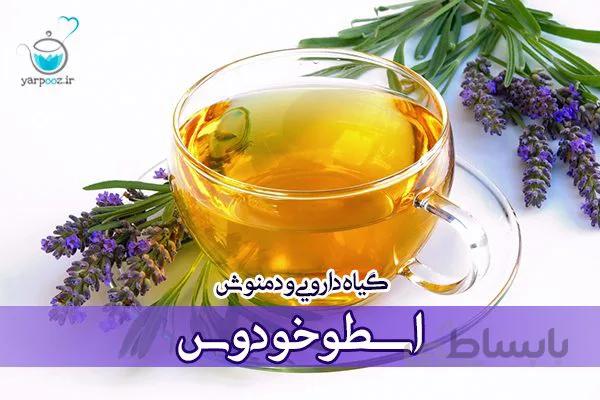گیاه دارویی و دمنوش اسطوخودوس