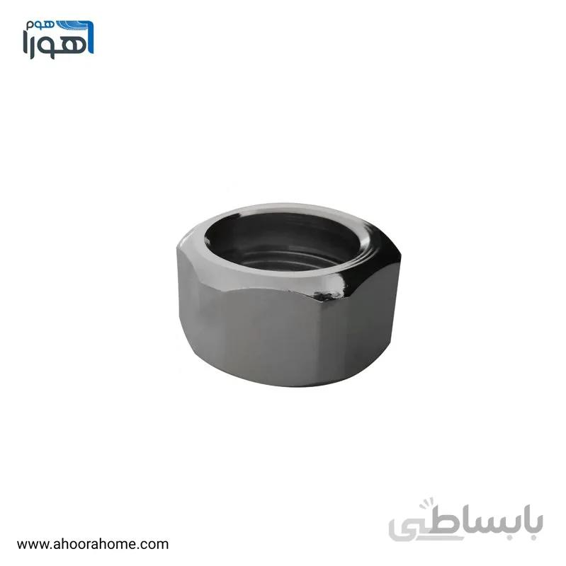 مهره پشت شیر