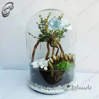 خرید گل آنلاین – تراریوم سریزا (مورد فرانسوی) طرح T-060