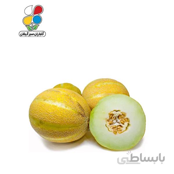 بذر خربزه بسته بندی بزرگ مدل GPSS7L