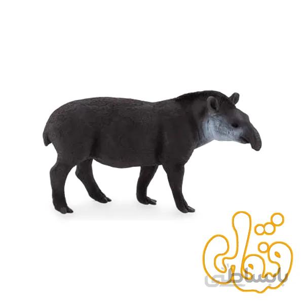 خوک خرطوم بلند برزیلی Brazilian Tapir 387178