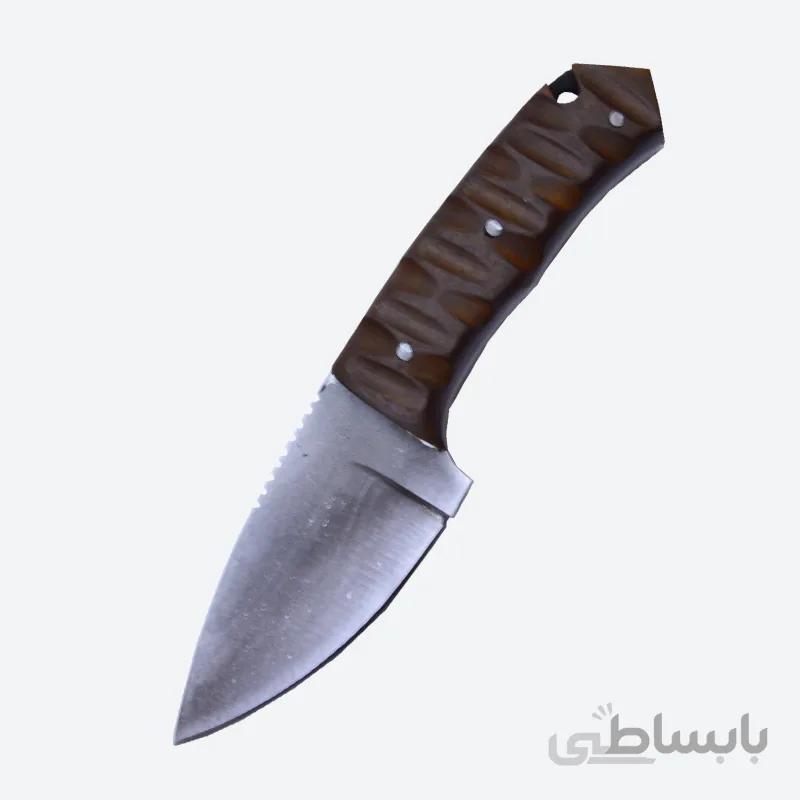 چاقوی تیزی و پوست کنی دسته پلکسی
