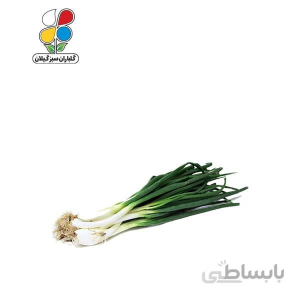 بذر پیازچه سفید بسته 3 عددی مدل GPSV7L