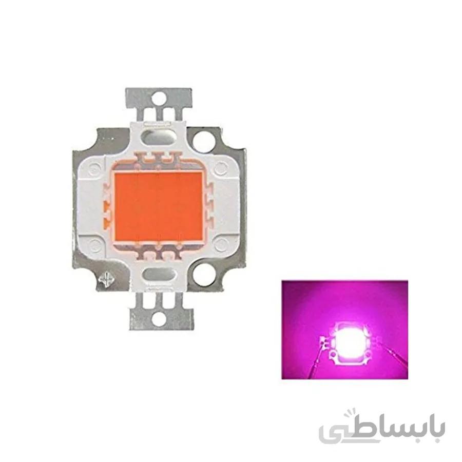 پاور ال ای دی 10 وات رشد گیاه