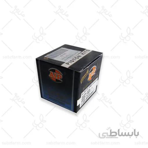 رینگ و پیستون شمشاد زن r 81 - ایتال