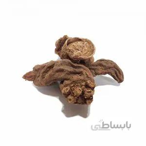 بهمن سرخ