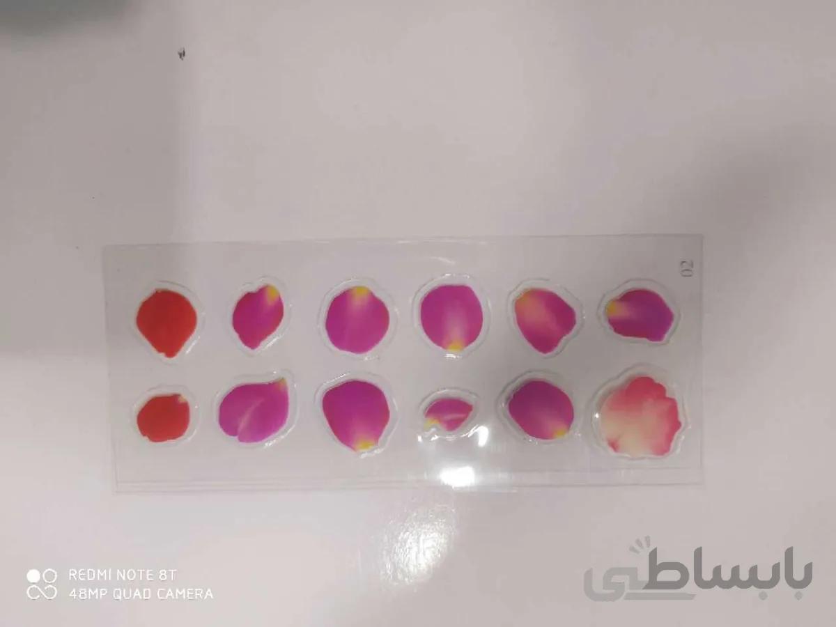 ترنسفر گلبرگ کد 02