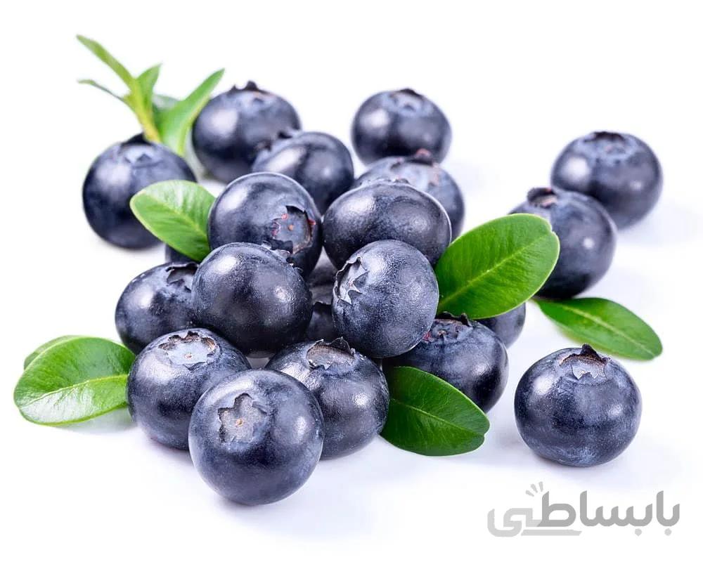 بذر بلوبری آمریکایی ( اورجینال )