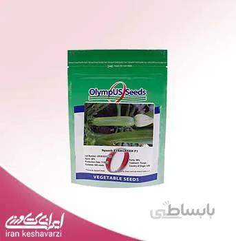 بذر کدو مسمایی هیبرید اورگرین Evergreen F1 محصول شرکت المپیوس سیدز آمریکا