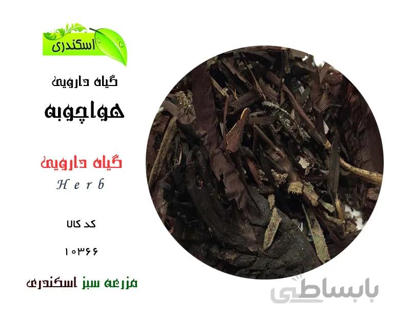 گیاه هواچوبه